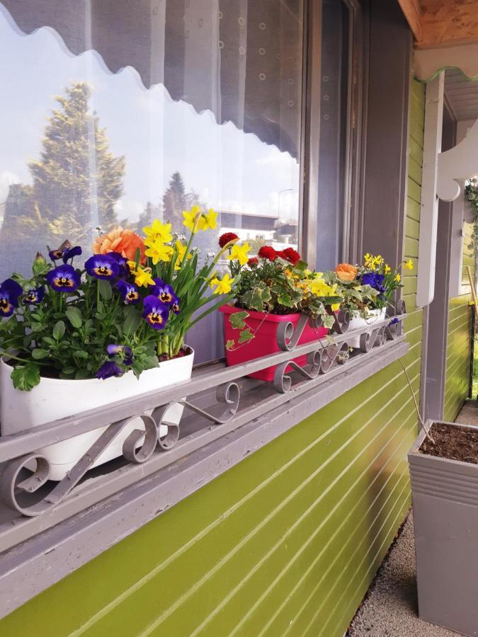 Gite Le Chalet Vert Frambouhans Eksteriør bilde